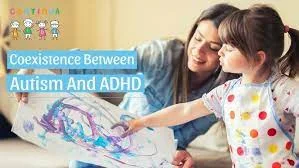 shadow teacher India